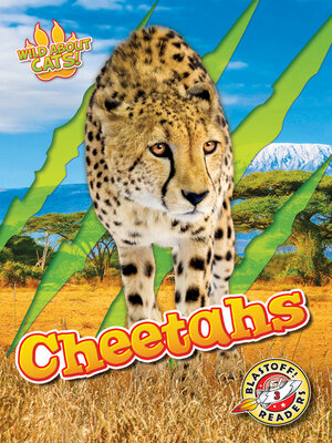 cover image of Cheetahs